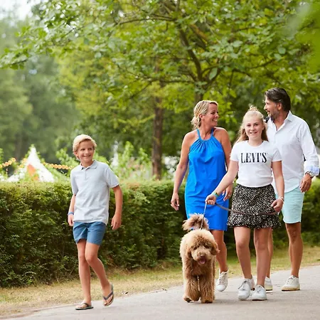 Holiday home Forest 6 Persons #727 Maasbree